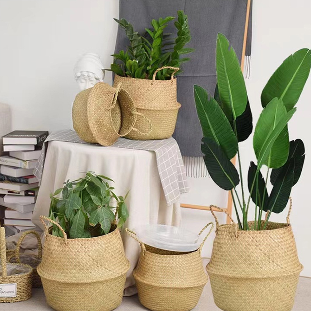 Aloe Vera Pot - Plant Basket with Handles Wicker Basket