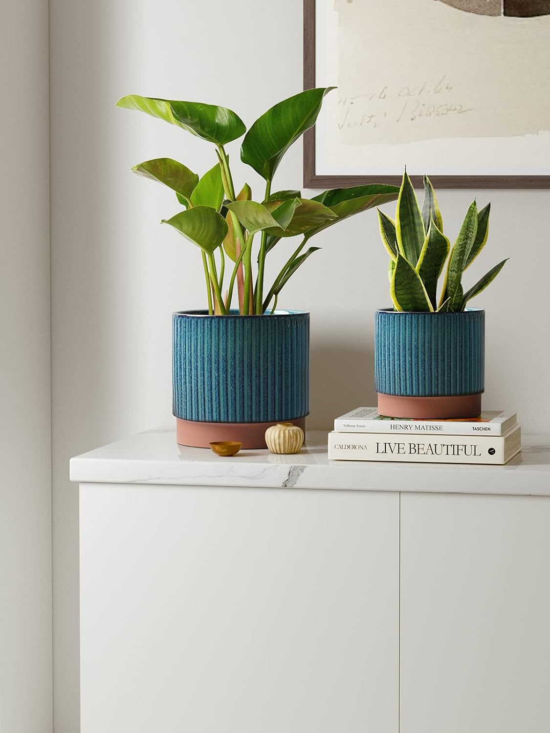 Set of 3 Ceramic Plant Pots wi - Aloe Vera Pot ulasan dan harga