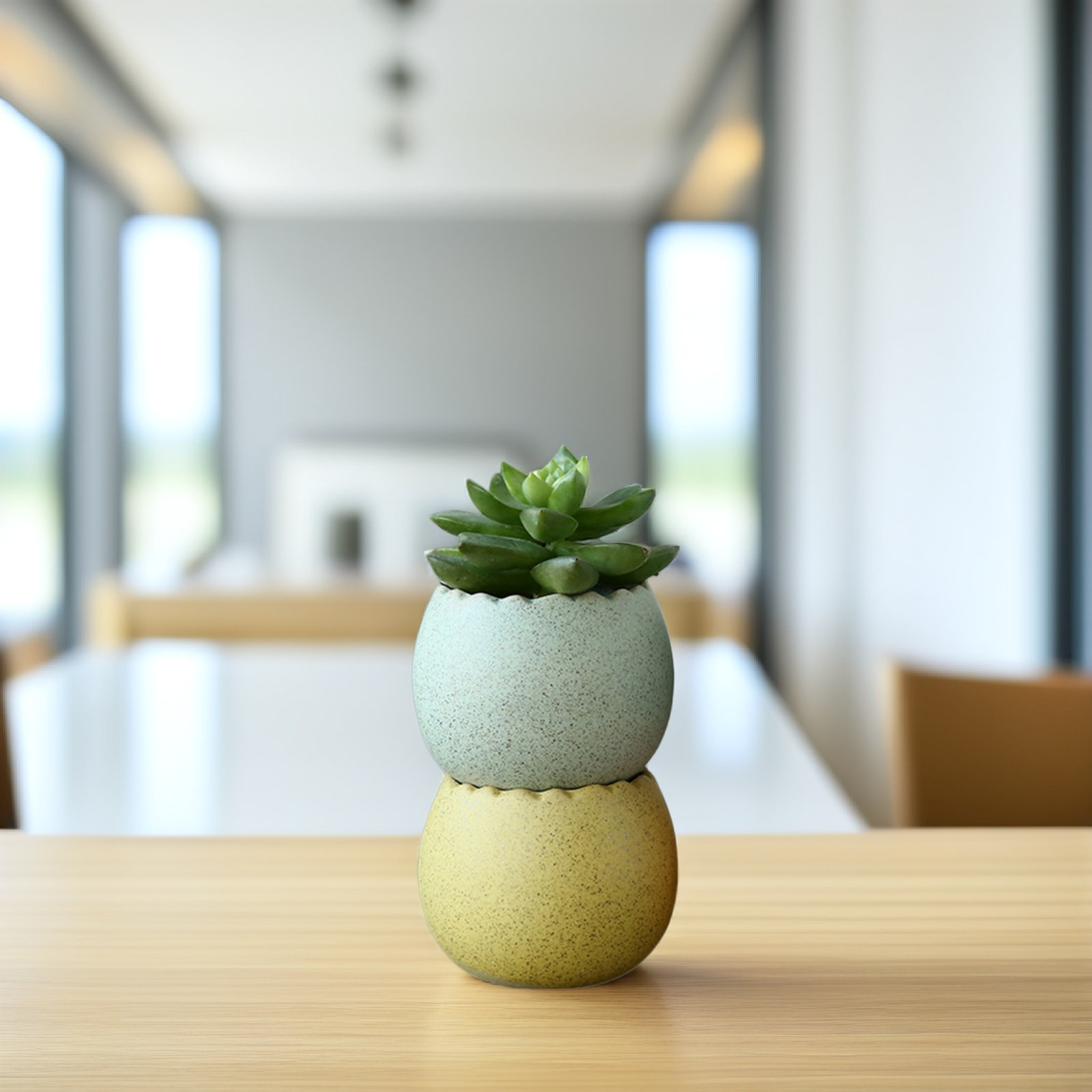 6Pcs Stylish Ceramic Mini Pots - Aloe Vera Pot ulasan dan harga