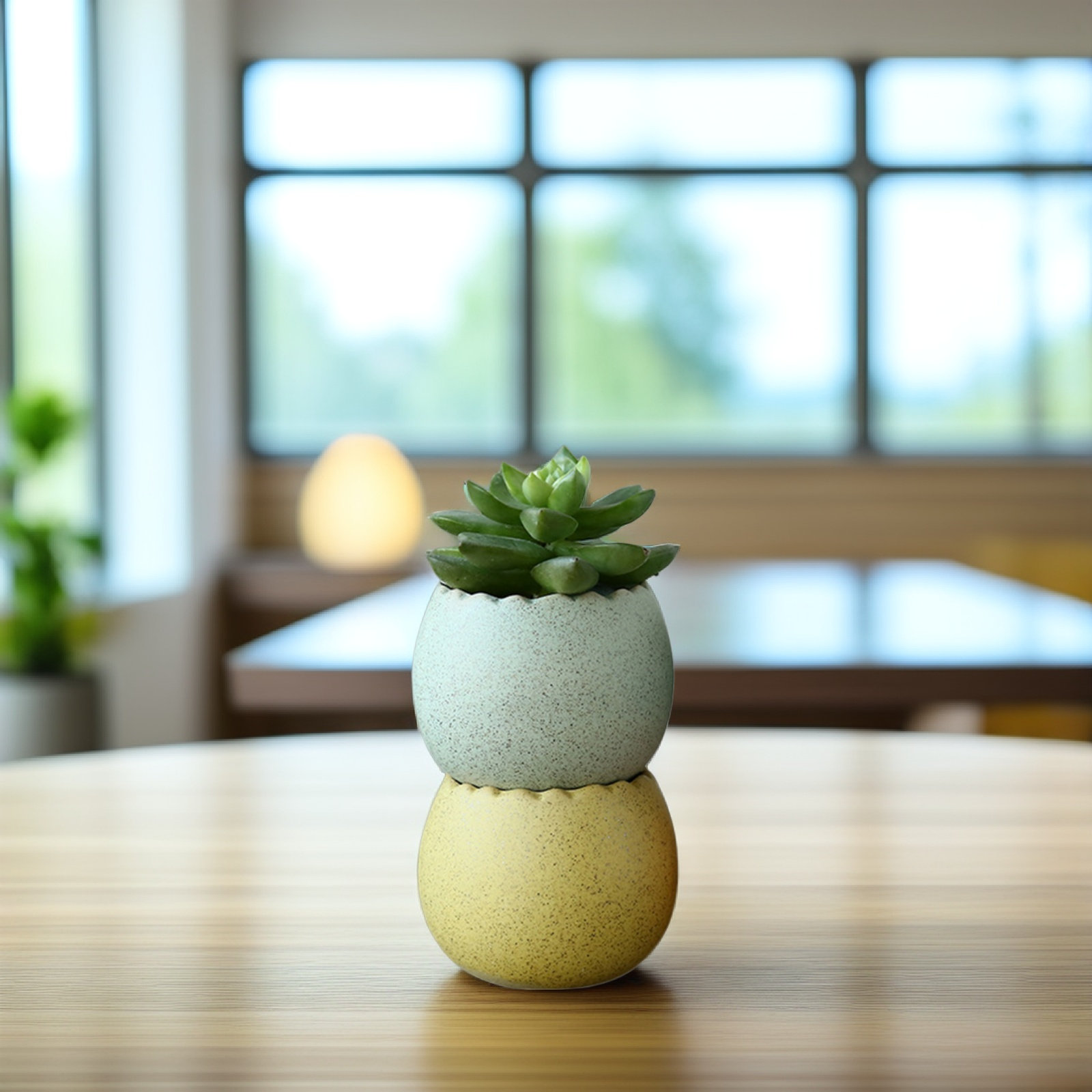 6Pcs Stylish Ceramic Mini Pots - Aloe Vera Pot ulasan dan harga