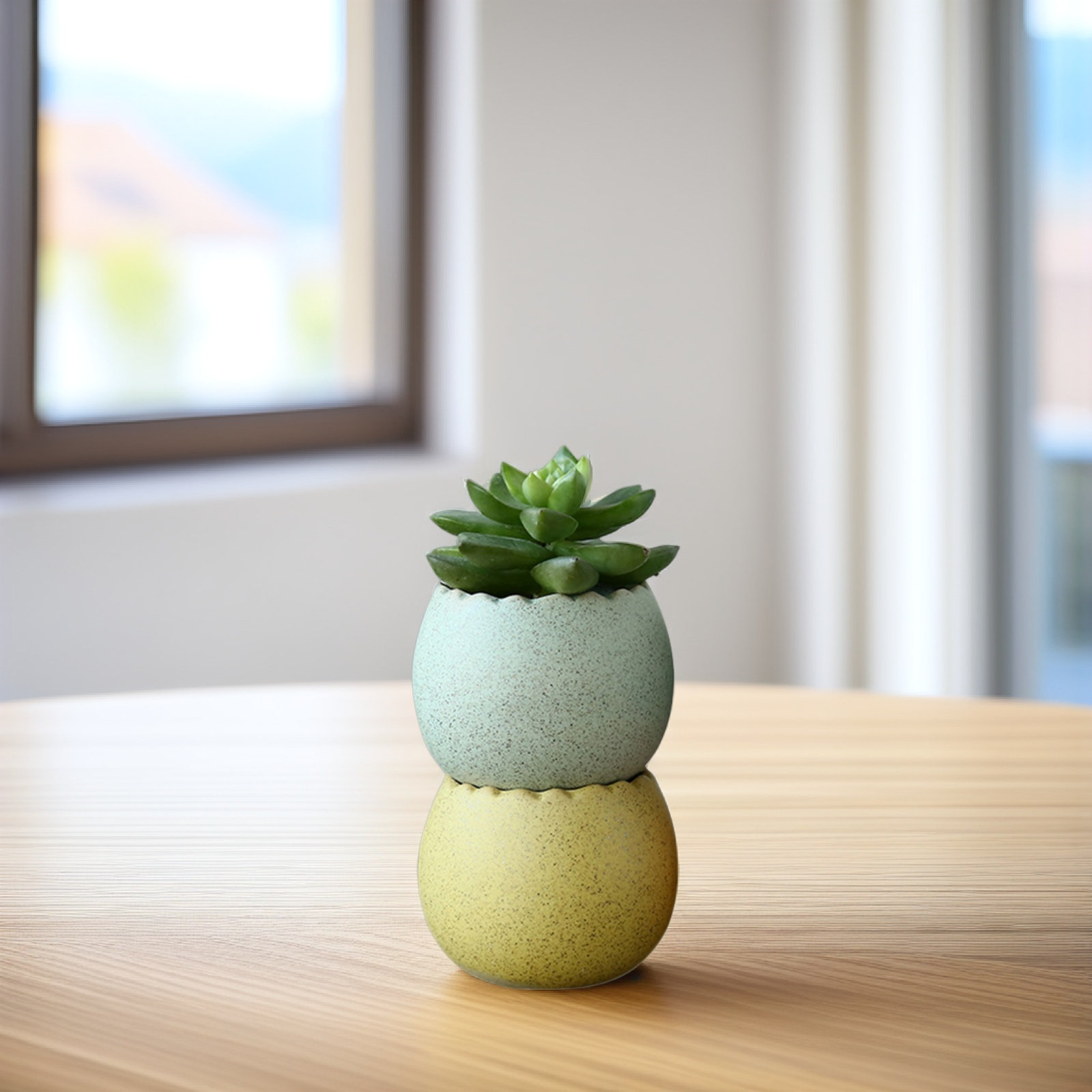 6Pcs Stylish Ceramic Mini Pots - Aloe Vera Pot ulasan dan harga