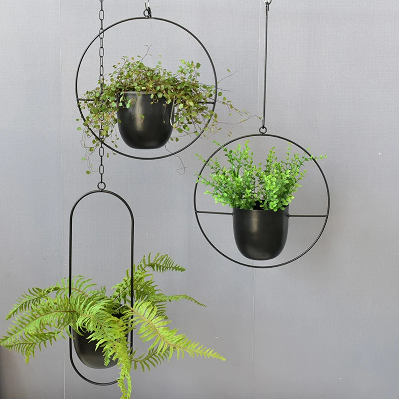 Wrought Iron Hanging Planter E - Spider Plant Hanging ulasan dan harga