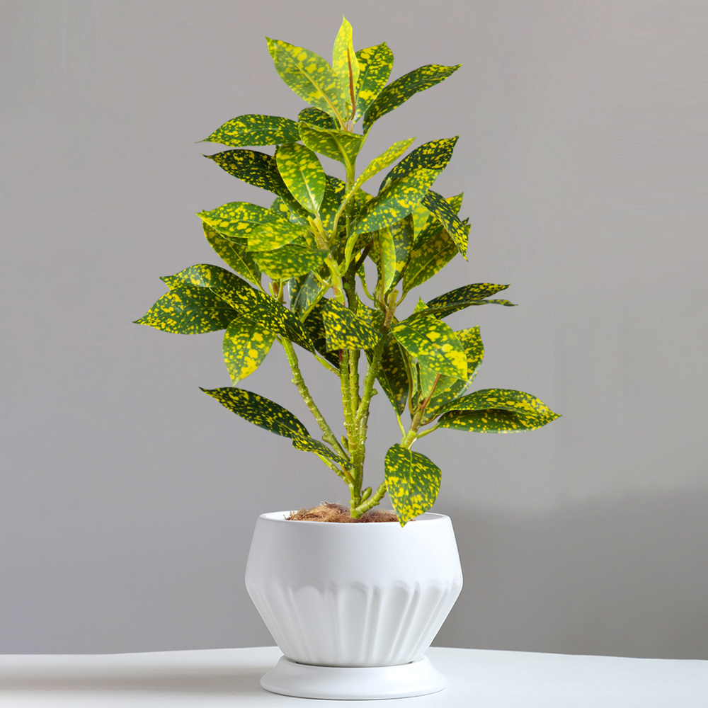 24-41cm Artificial Ficus Tree  - Ficus Lyrata Tree ulasan dan harga