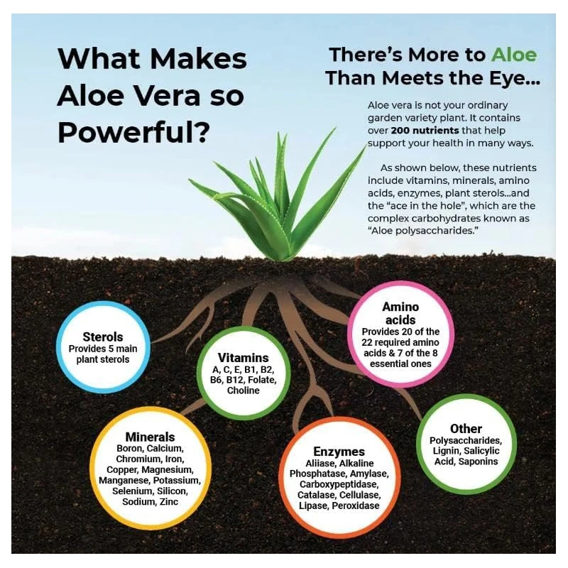 Aloe Vera Capsules - Help Prom - Aloe Vera Pot ulasan dan harga