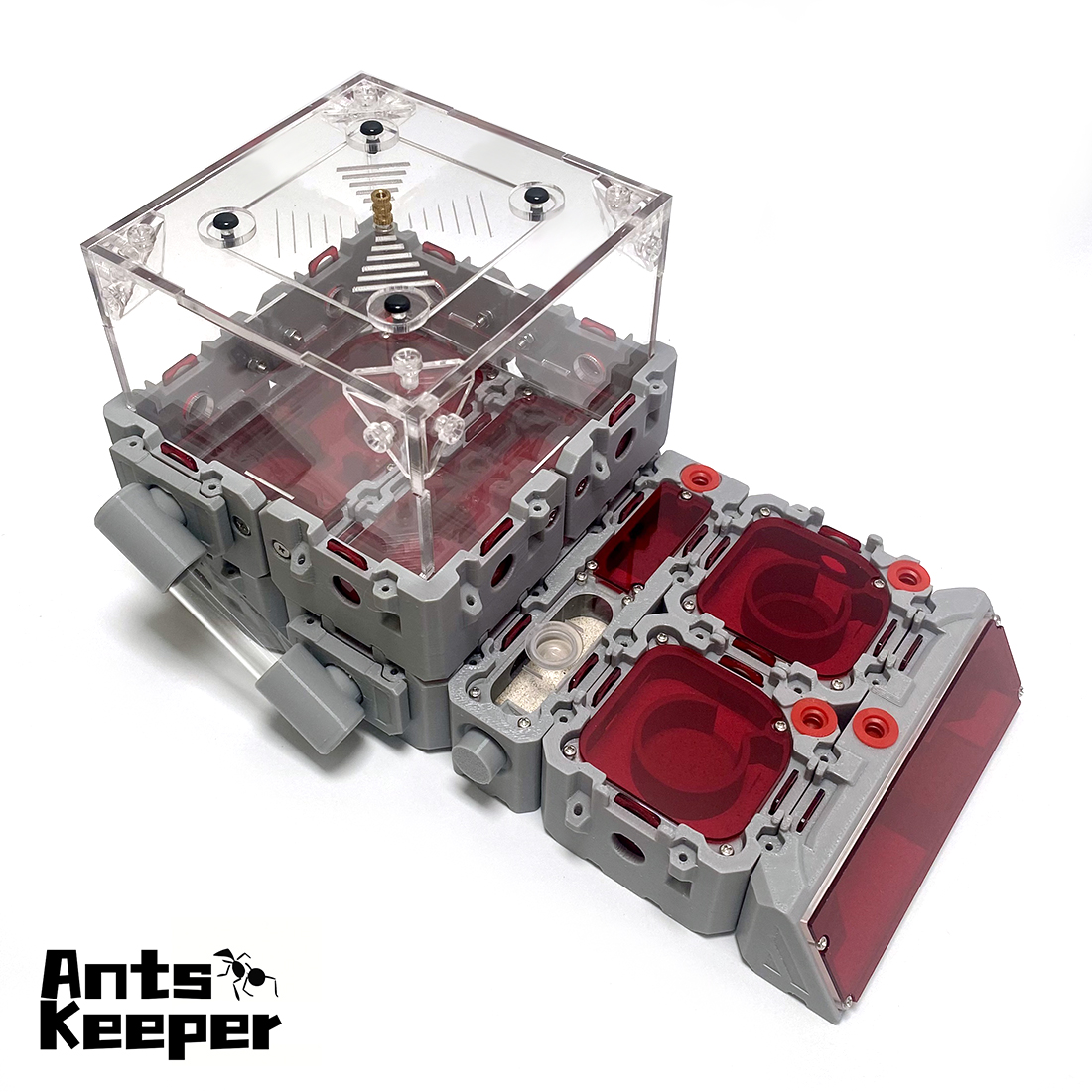 【Lego】Expandable Modular Formi - Begonia Rex ulasan dan harga