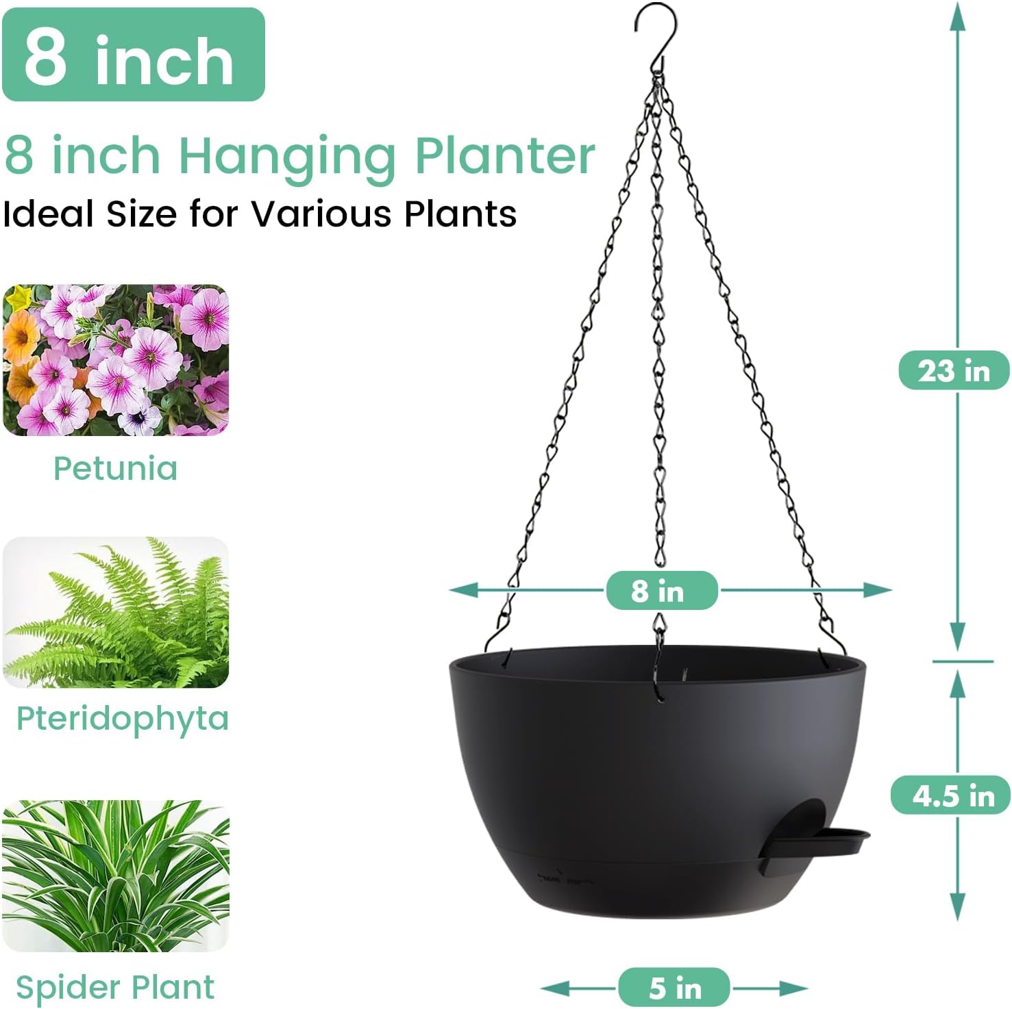 8 Inch Self Watering Hanging P - Spider Plant Hanging ulasan dan harga