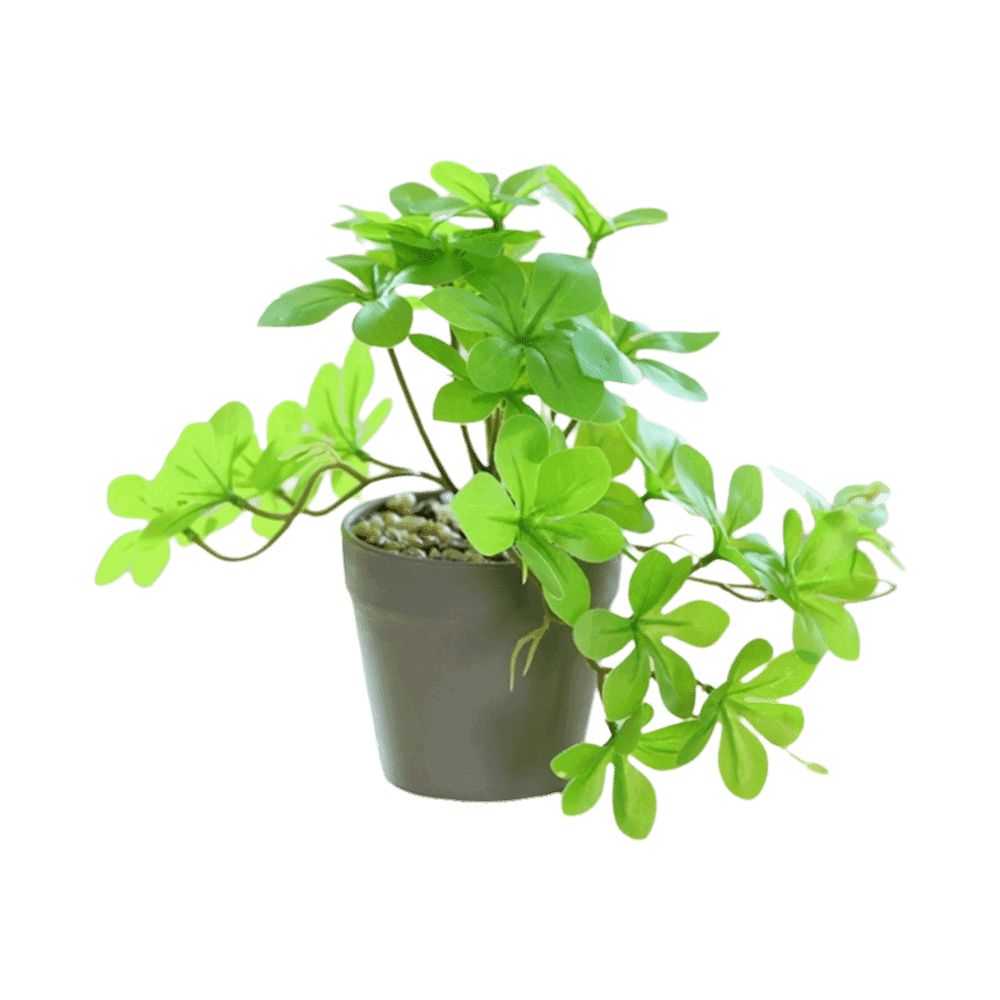 Bonsai Artificial Bonsai Plant - Spider Plant Hanging ulasan dan harga