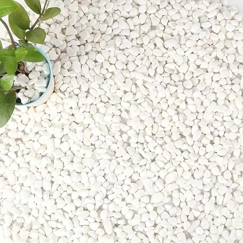 White Pebbles Decorative Stone - Echeveria Succulent ulasan dan harga