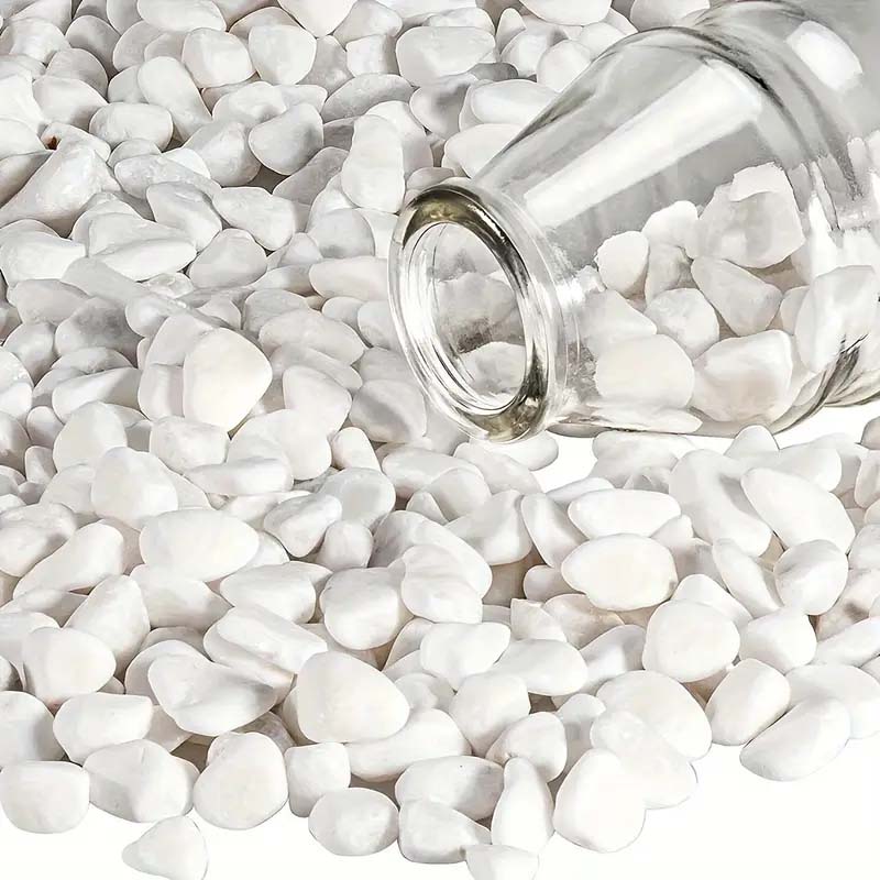 White Pebbles Decorative Stone - Echeveria Succulent ulasan dan harga