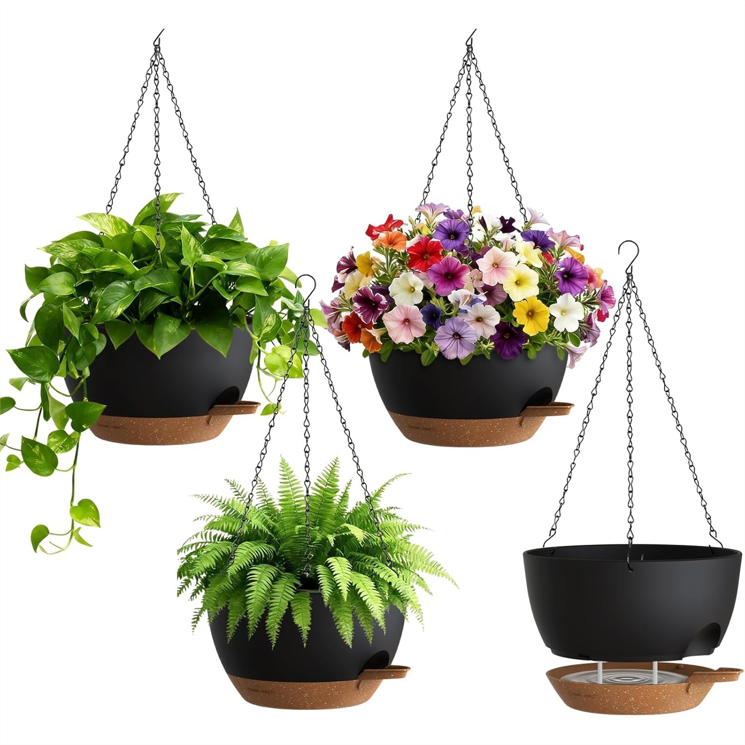 Self Watering Hanging Planters - Spider Plant Hanging ulasan dan harga