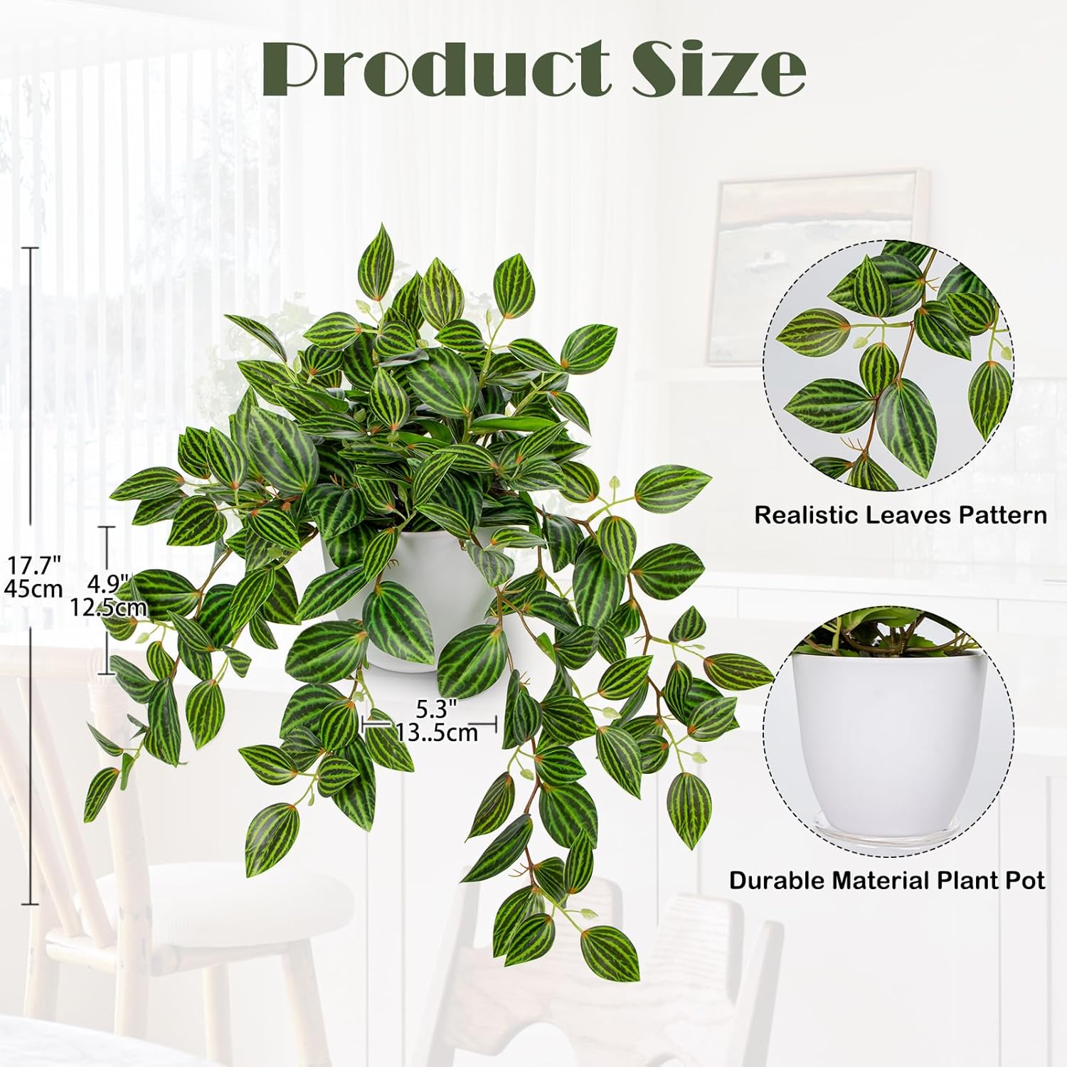Artificial Plants Indoor Fake  - Peperomia Watermelon ulasan dan harga