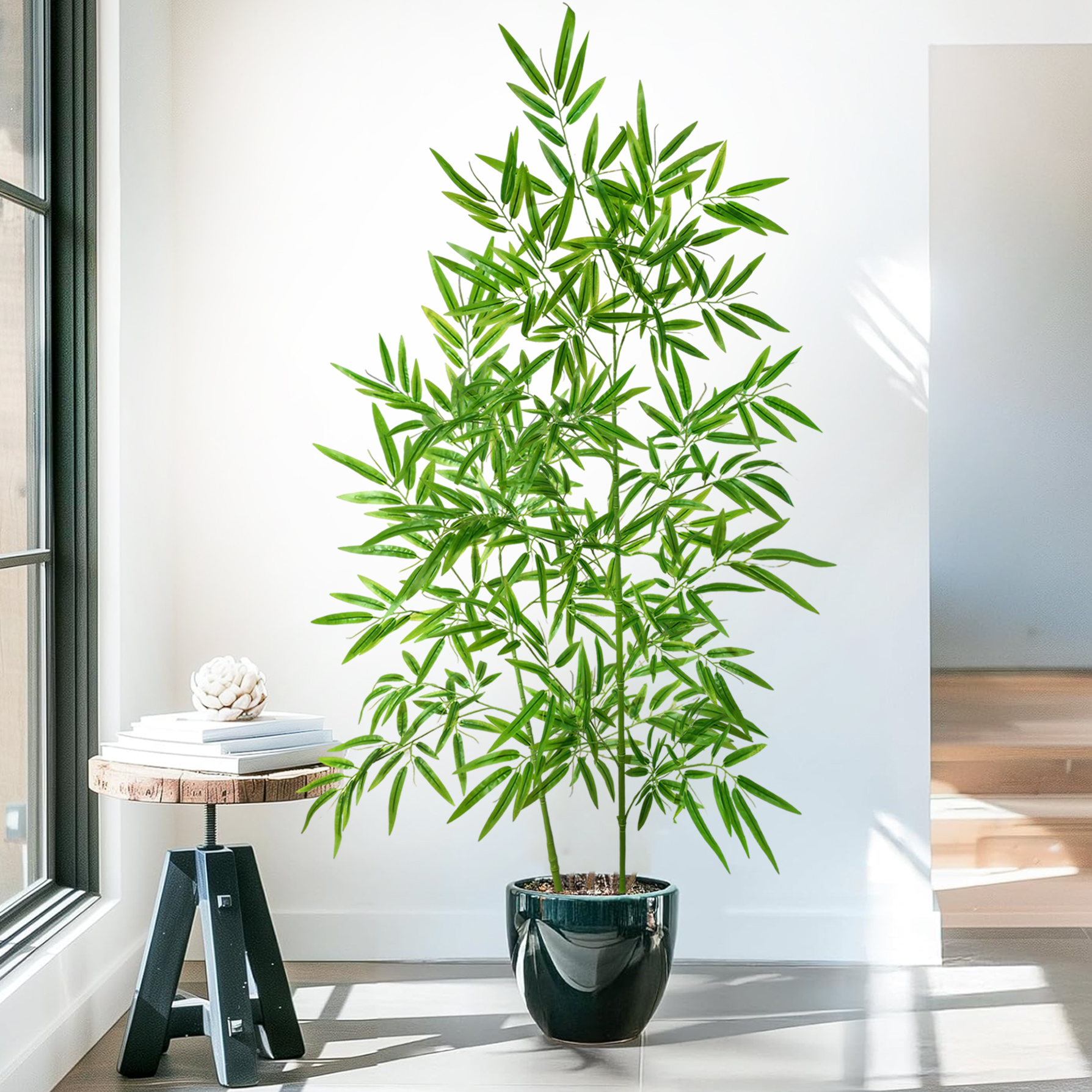 100-160-240cm/94.4in Artificia - Dracaena Marginata ulasan dan harga
