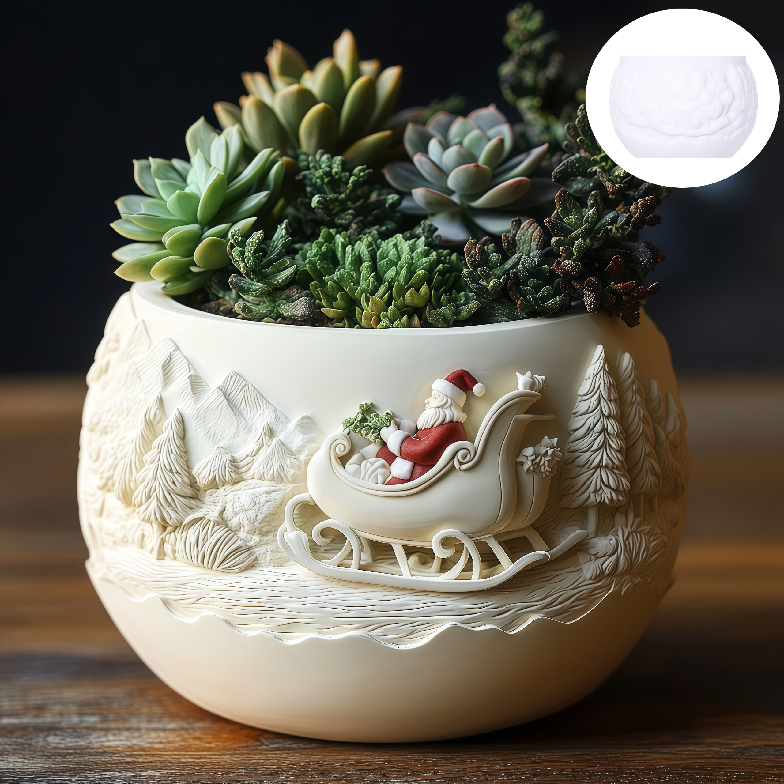 Cedar Sled Santa Claus Relief  - Echeveria Succulent ulasan dan harga