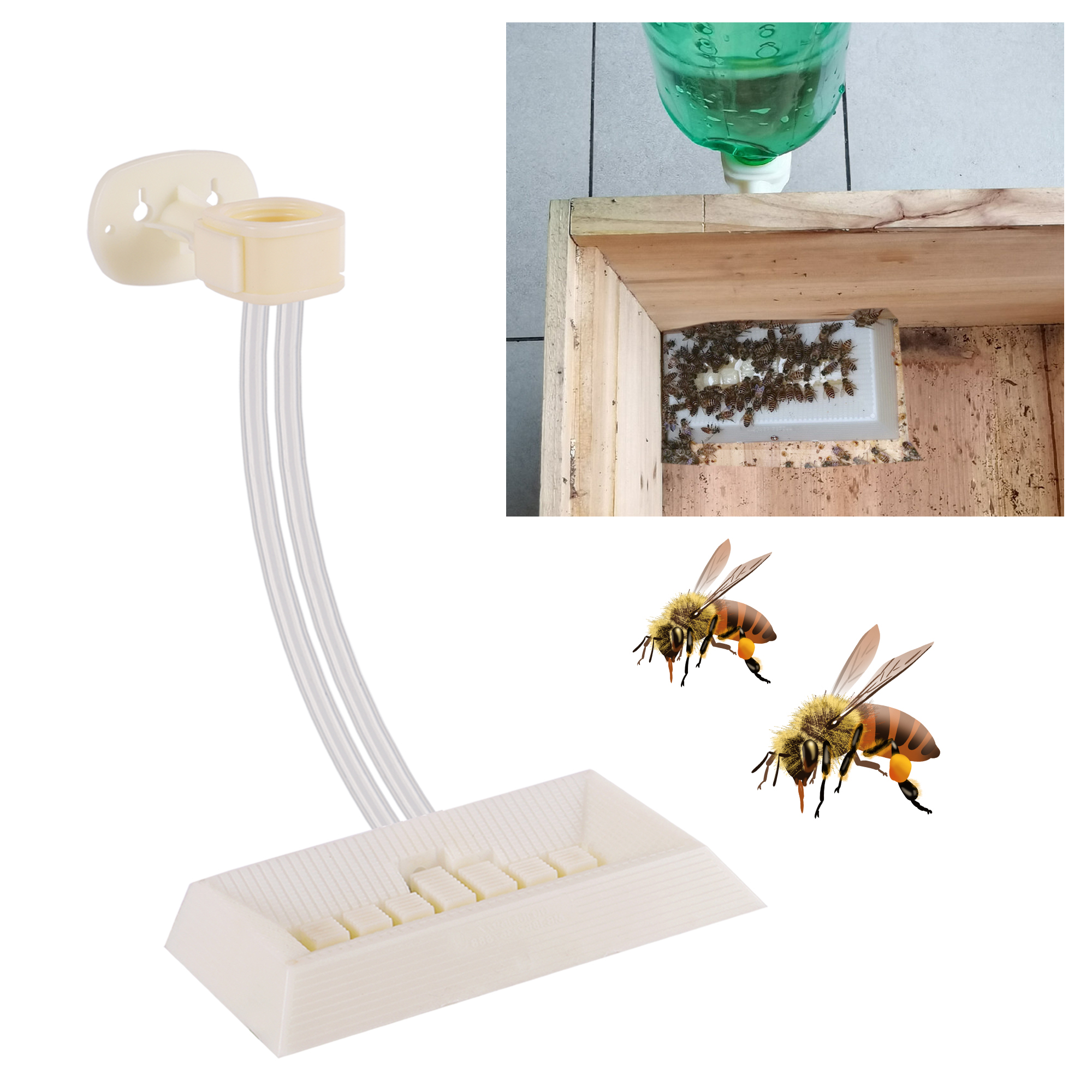2Pcs Automatic Feeding Drinker - Begonia Rex ulasan dan harga