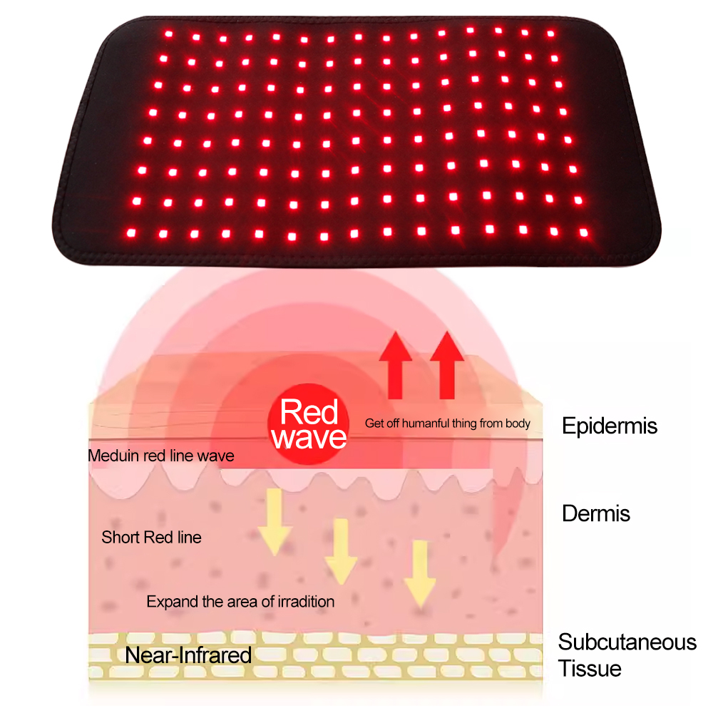 LED Red Light Belt 850nm and 6 - Aglaonema Red ulasan dan harga