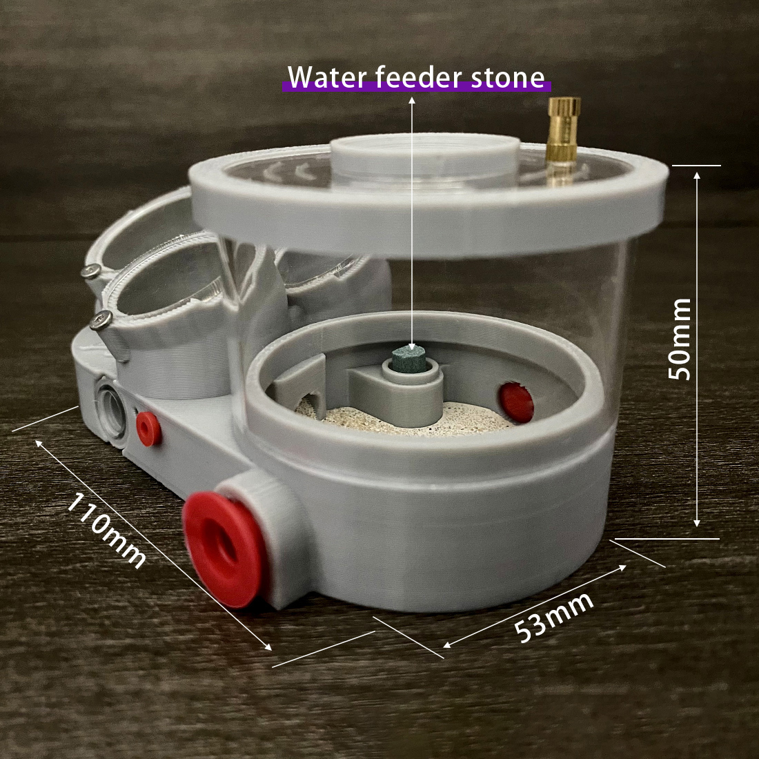 【Three Body】Ant Farm with Wate - Begonia Rex ulasan dan harga