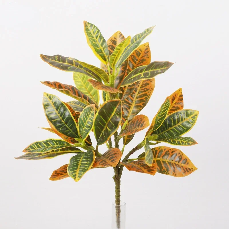 Plastic Artificial Color-chang - Dracaena Marginata ulasan dan harga