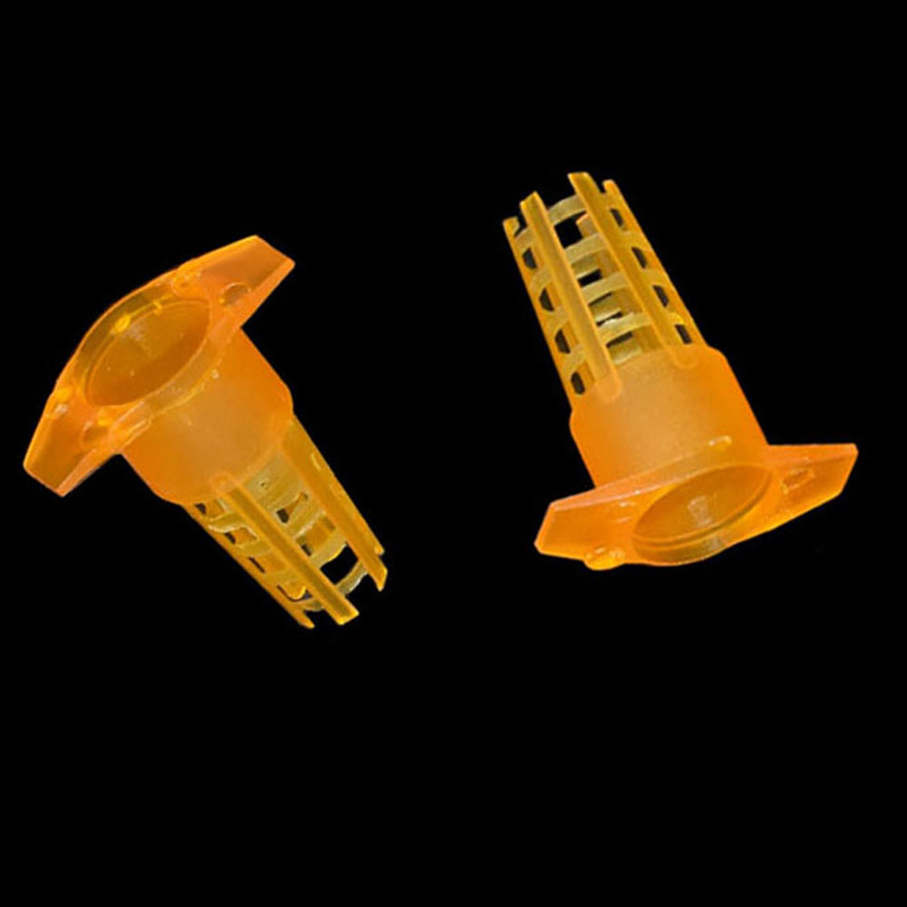 20 pcs Plastic Bee Queen Cage  - Begonia Rex ulasan dan harga