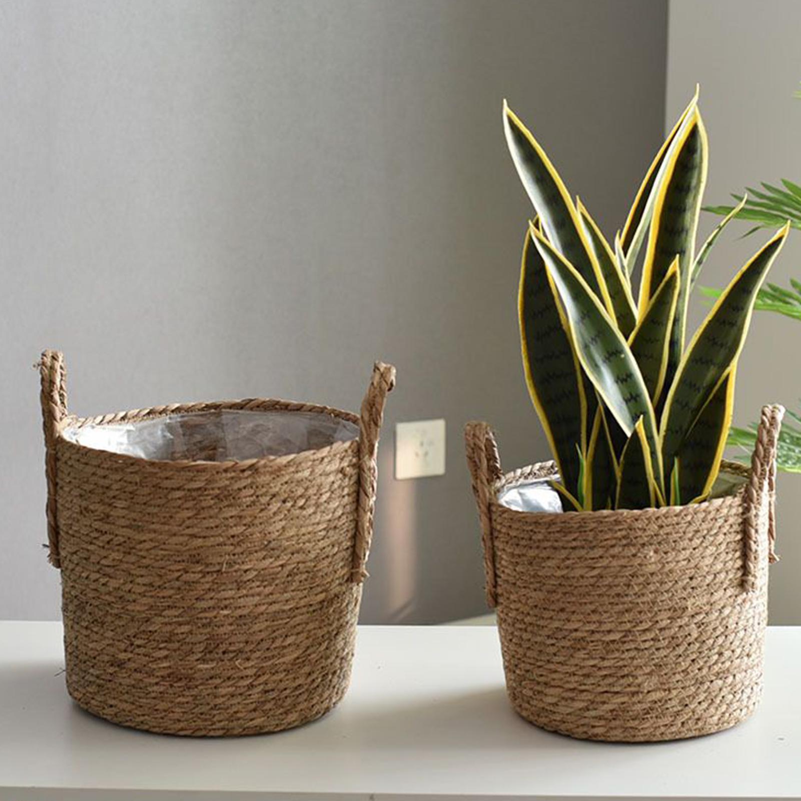 Wicker Plant Basket with Handl - Aloe Vera Pot ulasan dan harga